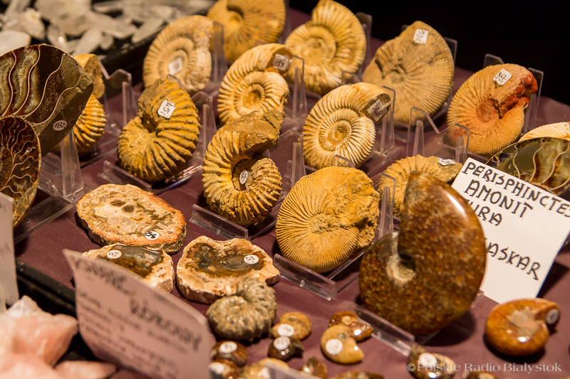 XIII Targi Minerałów i Biżuterii "Skarby Ziemi" [zdjęcia]