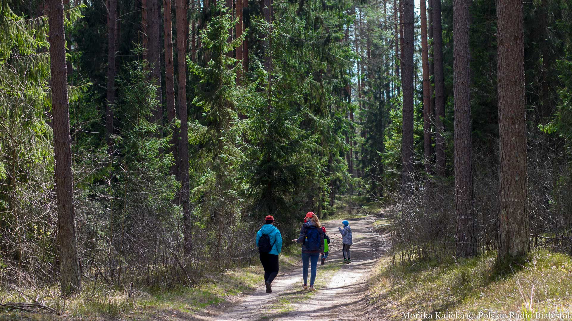 "Przez las do zdrowia" - gra terenowa z leśnikami i studentami UMB
