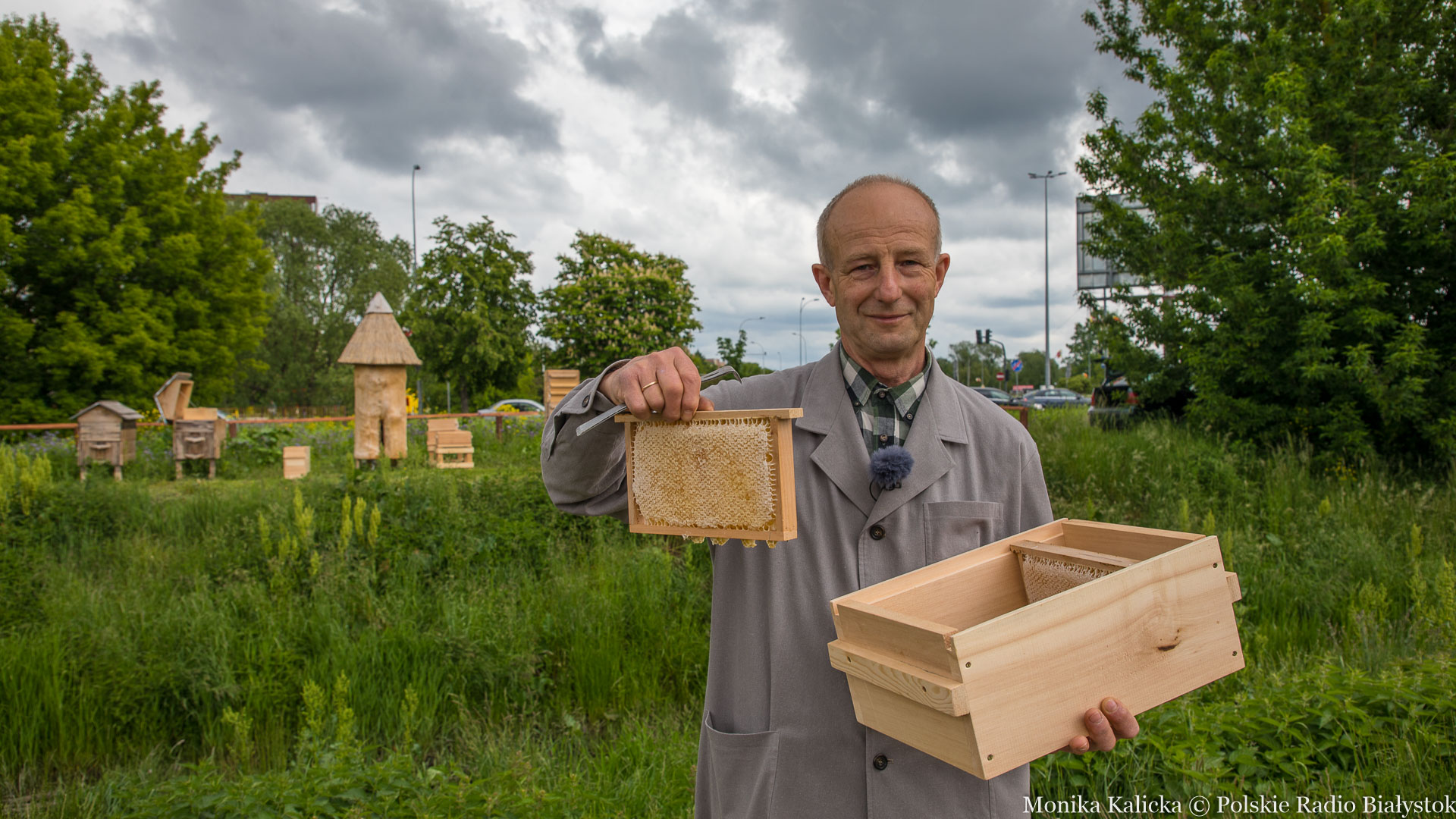 Pierwsze miodobranie z miejskiej pasieki w Białymstoku [zdjęcia]