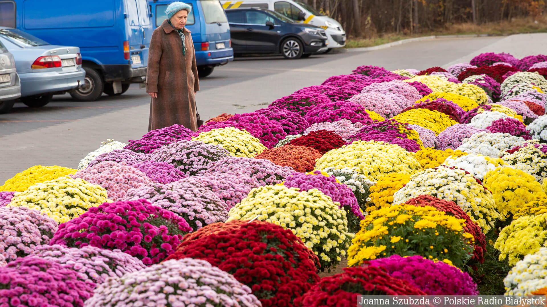 Uroczystość Wszystkich Świętych w Kościele katolickim [zdjęcia, wideo]