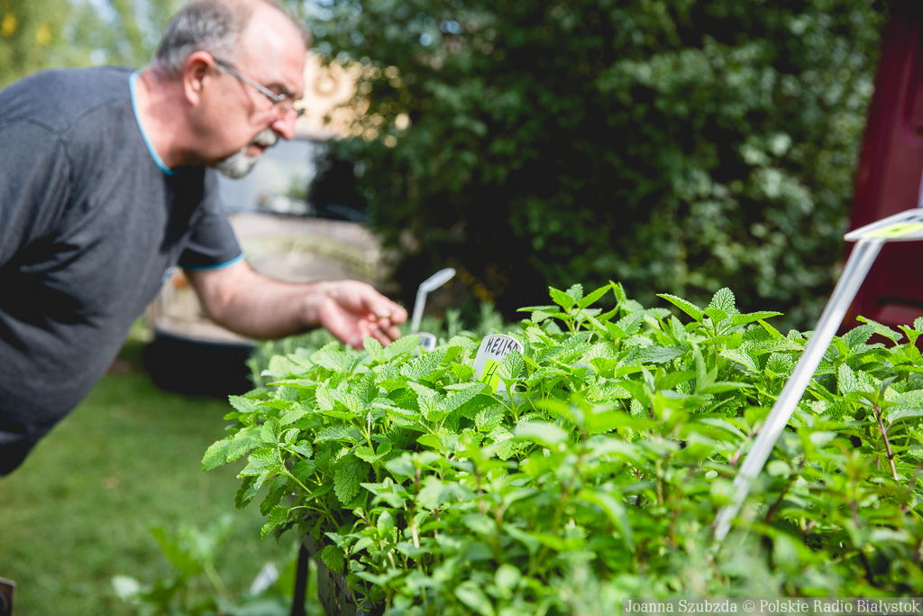 "Podlaskie Ziołami Pachnące" w Muzeum Kultury Ludowej [zdjęcia]