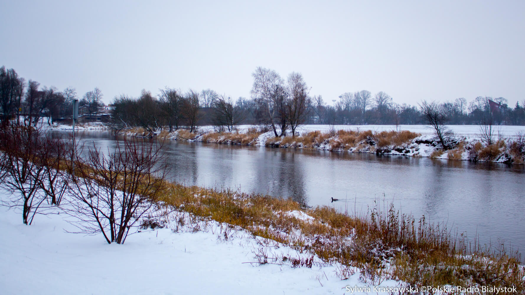 Podlaskie podróże - Łomża [zdjęcia]