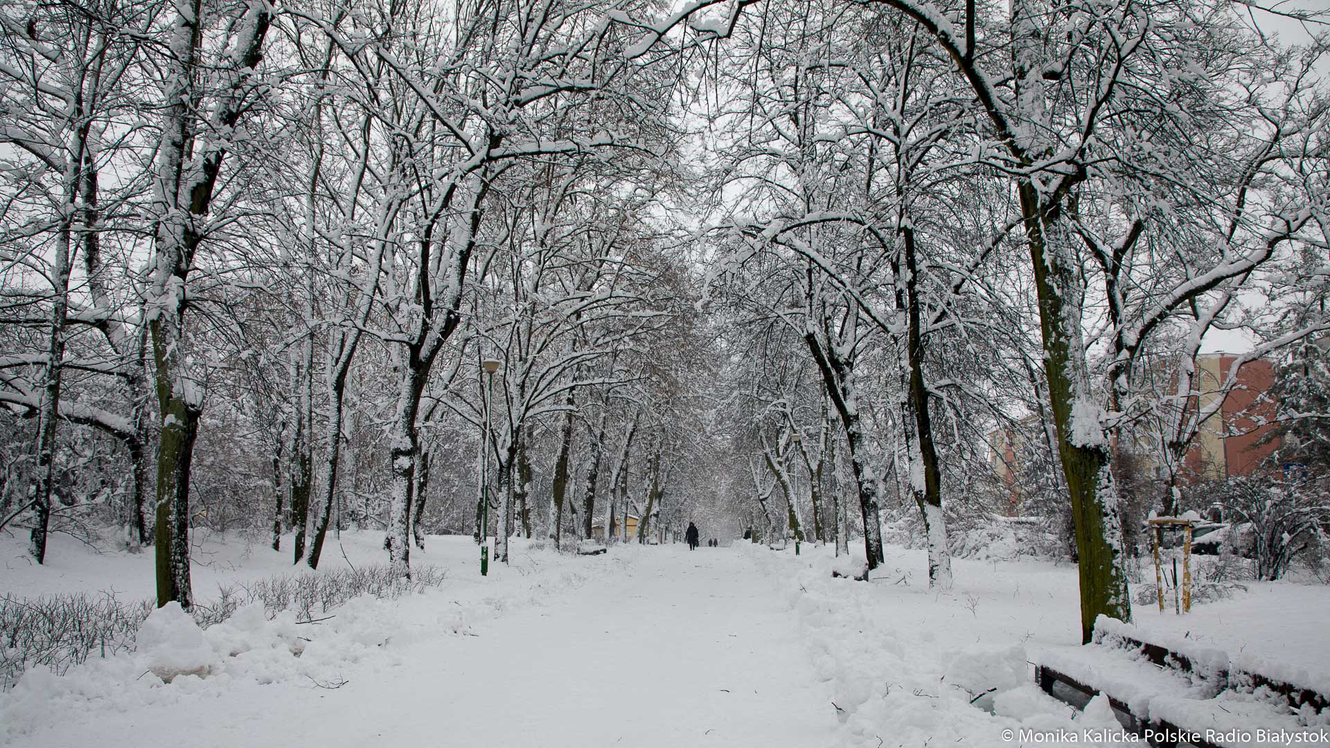 Około 100 uczestników weźmie udział w tegorocznej edycji zimowej imprezy „Biegun Zimna”