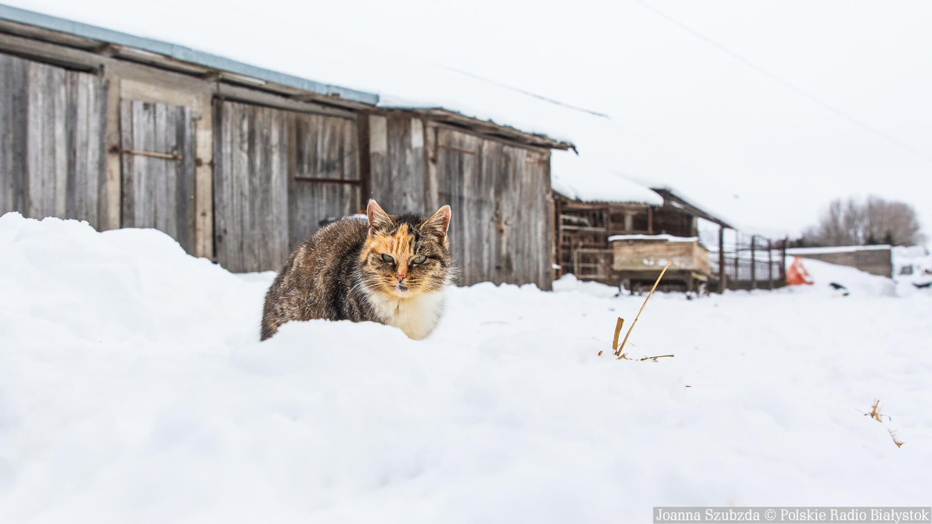 Służby odpowiedzialne za odśnieżanie nie poradziły sobie z ostatnimi intensywnymi opadami śniegu