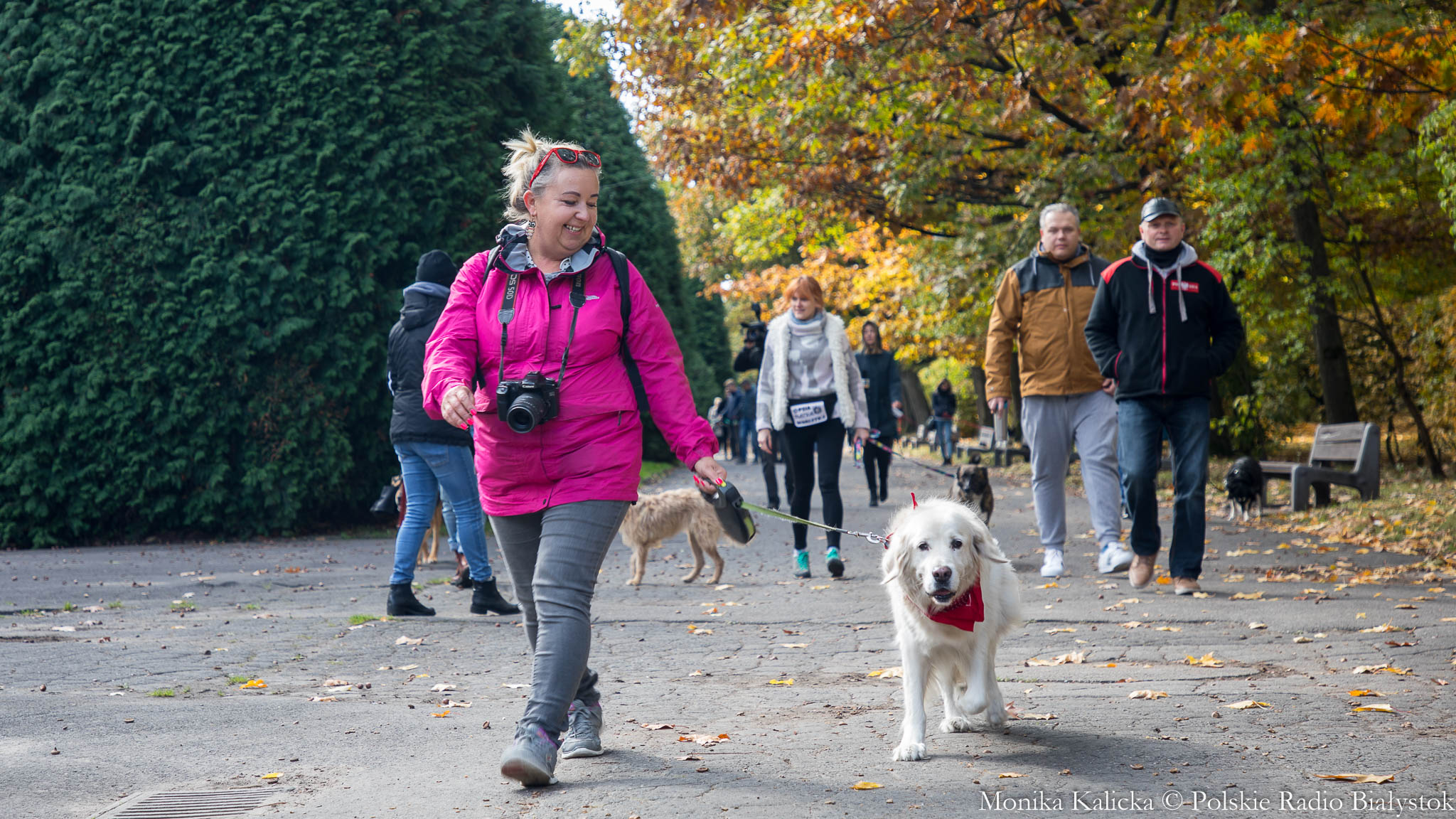 Adoptowane ze schroniska psy paradowały w Białymstoku [zdjęcia]