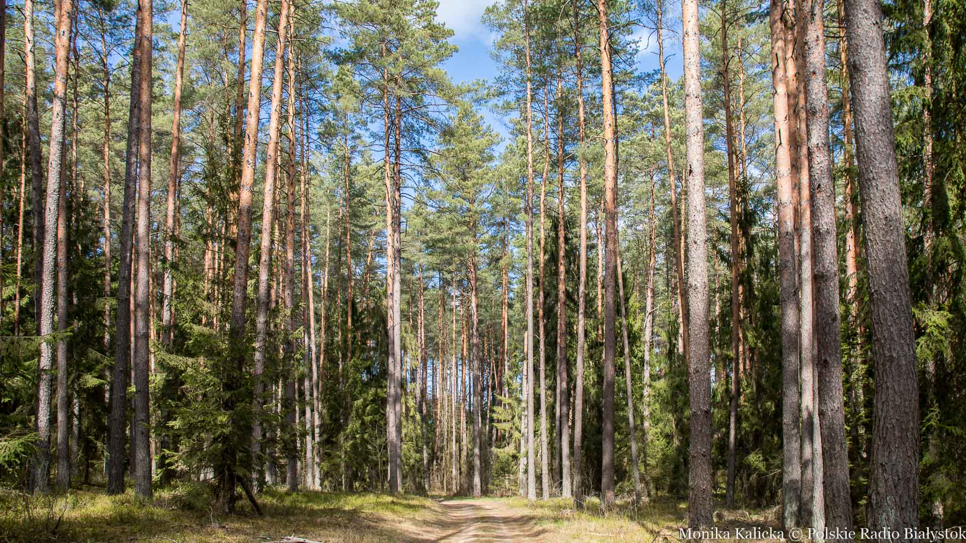 Miejsca warte odwiedzin na "majówkę" w Białymstoku i okolicach 1.05.2024