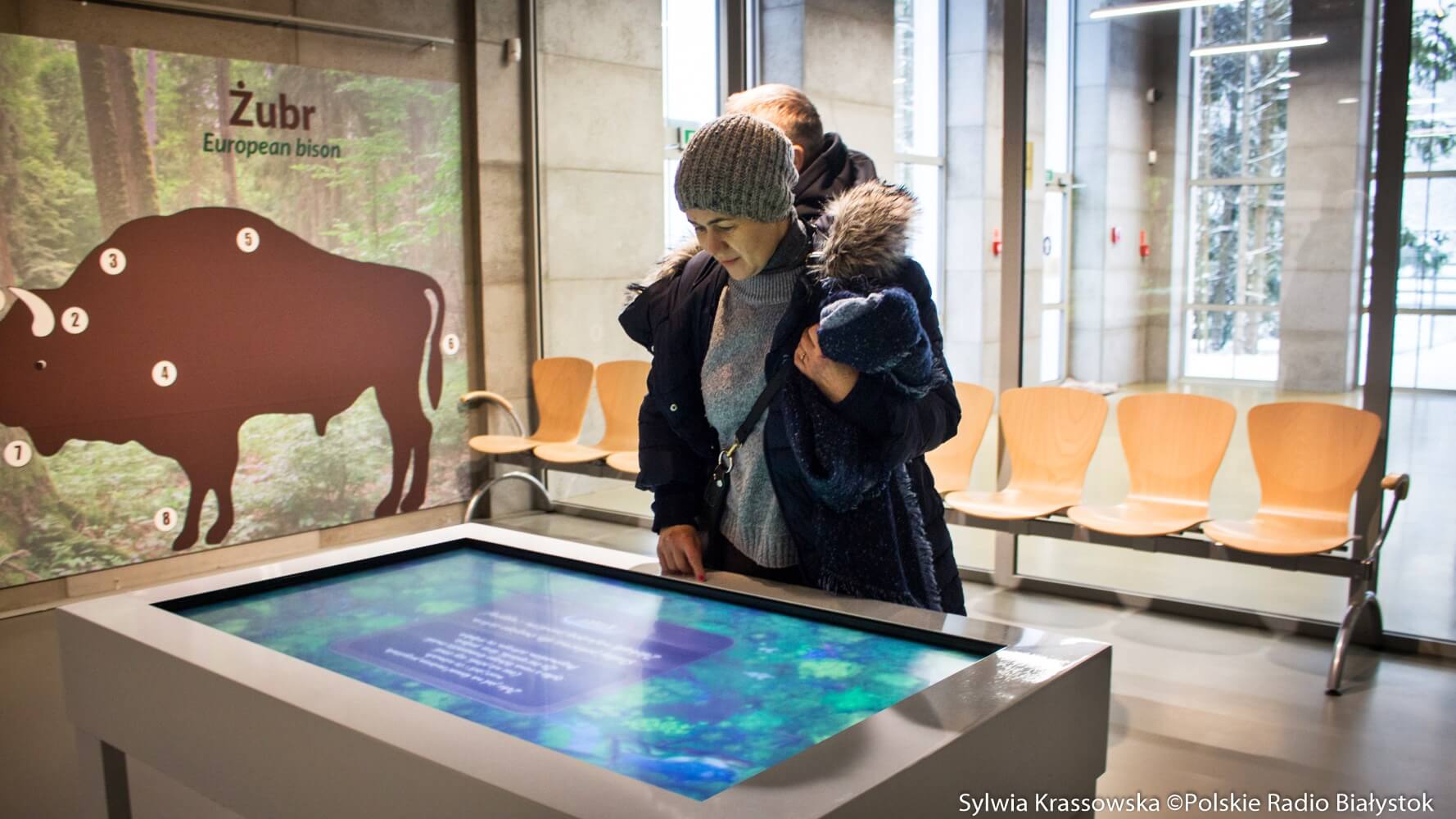 Ponad 200 dzieci na Konwencie Żubra w Białowieskim Parku Narodowym