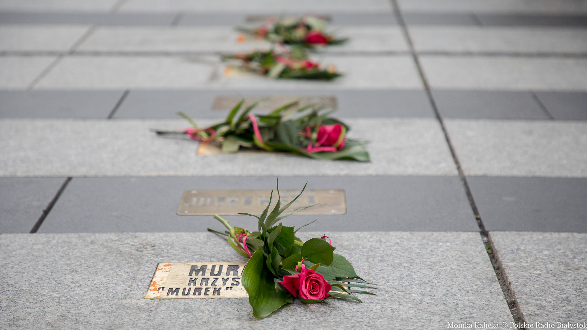 Cztery kolejne osoby uhonorowane w białostockiej Alei Bluesa [zdjęcia]