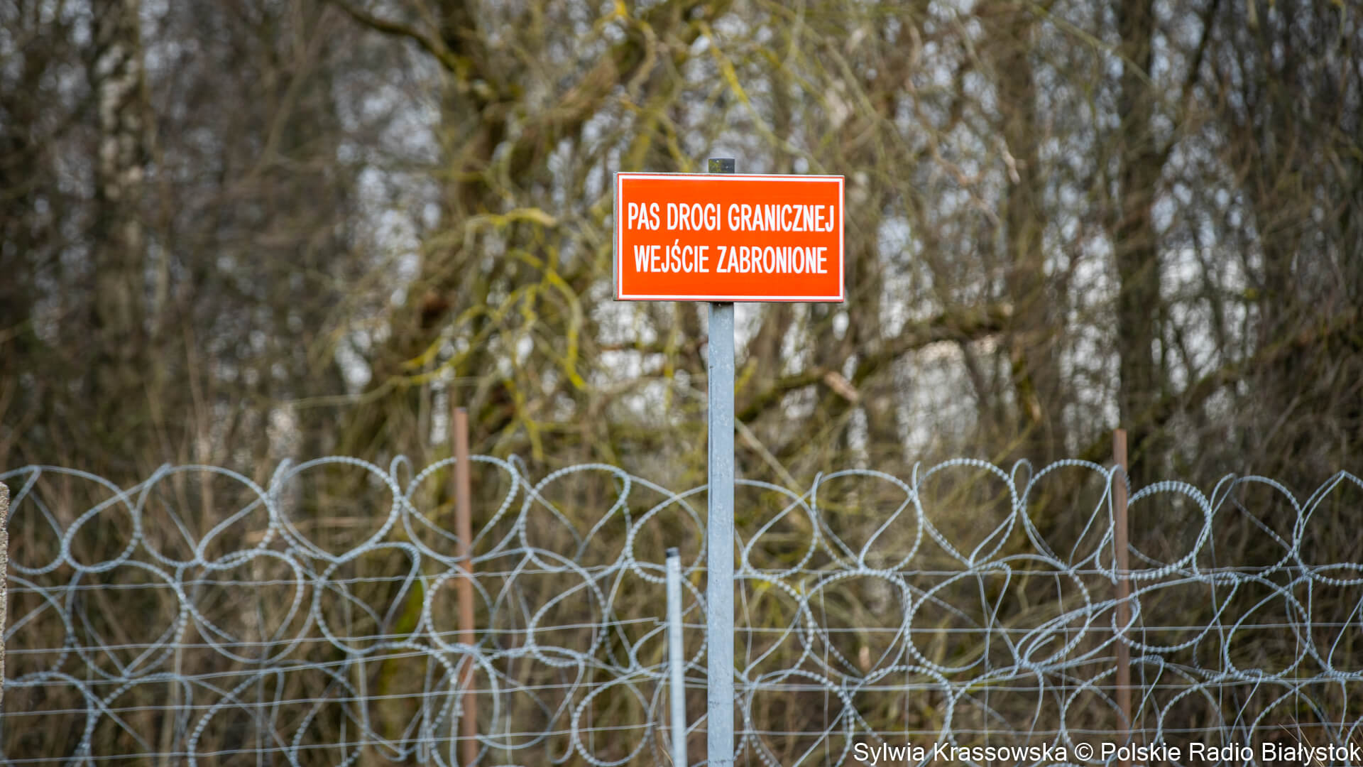 Trzy osoby próbowały dostać się nielegalnie z Białorusi do Polski