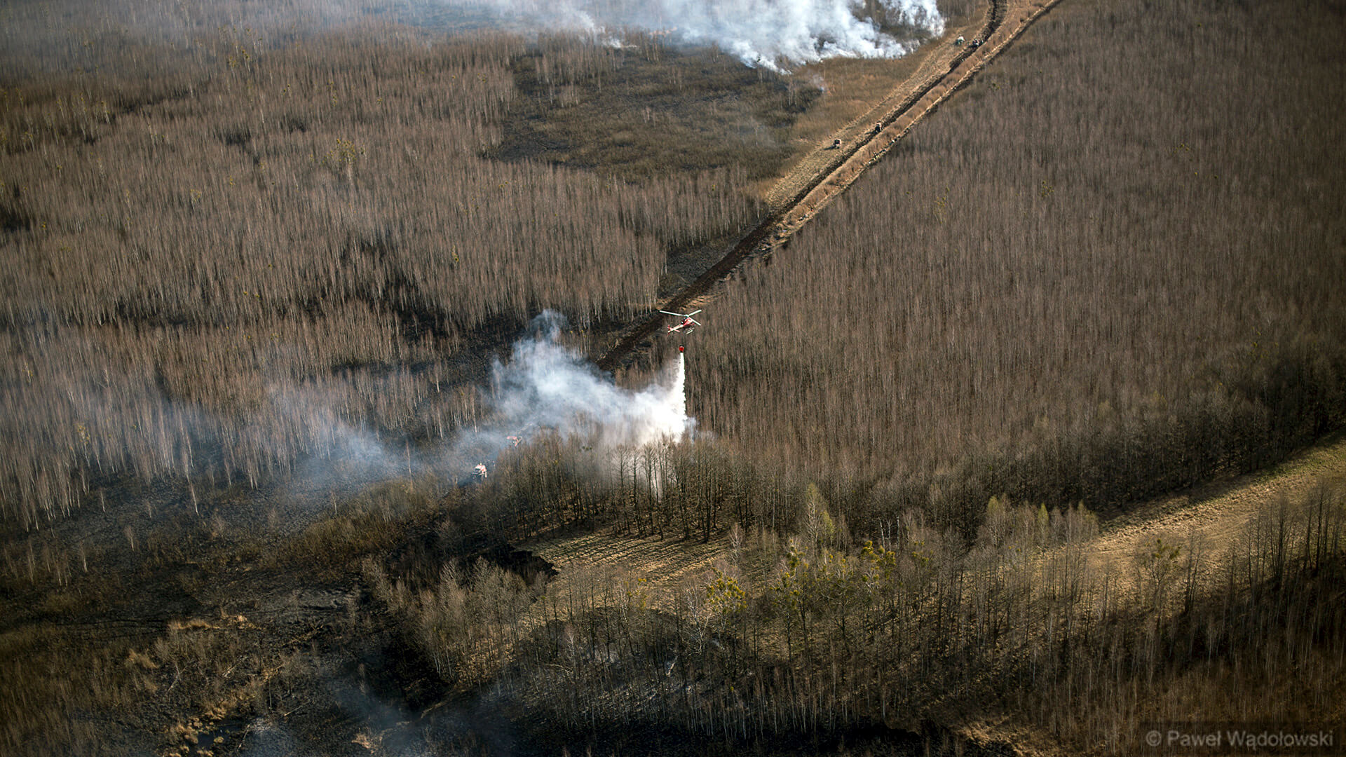 Strażacy wrócili do Biebrzańskiego Parku Narodowego - są jeszcze miejsca, gdzie widać dym