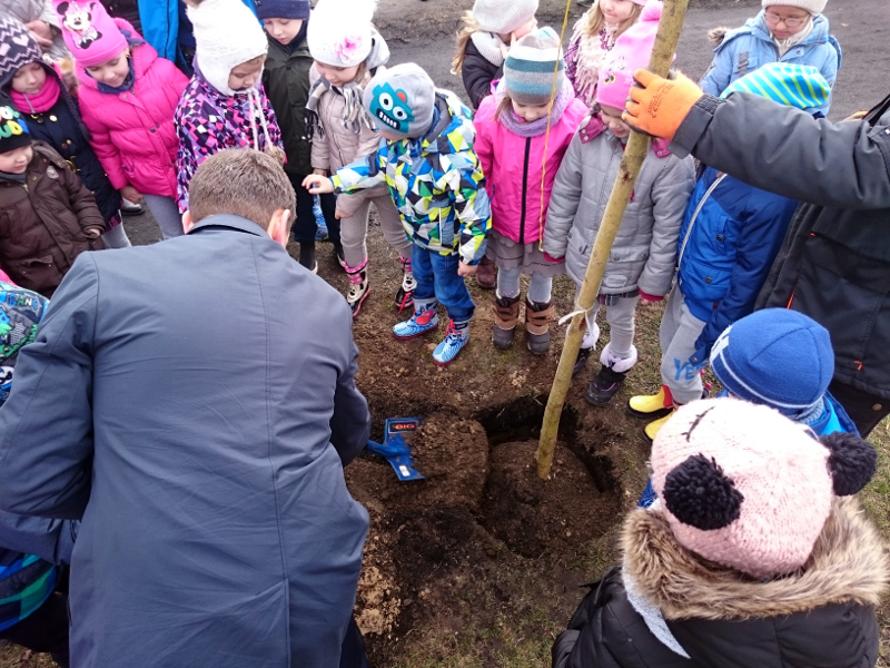 Białystok:  Sadzenie wierzb