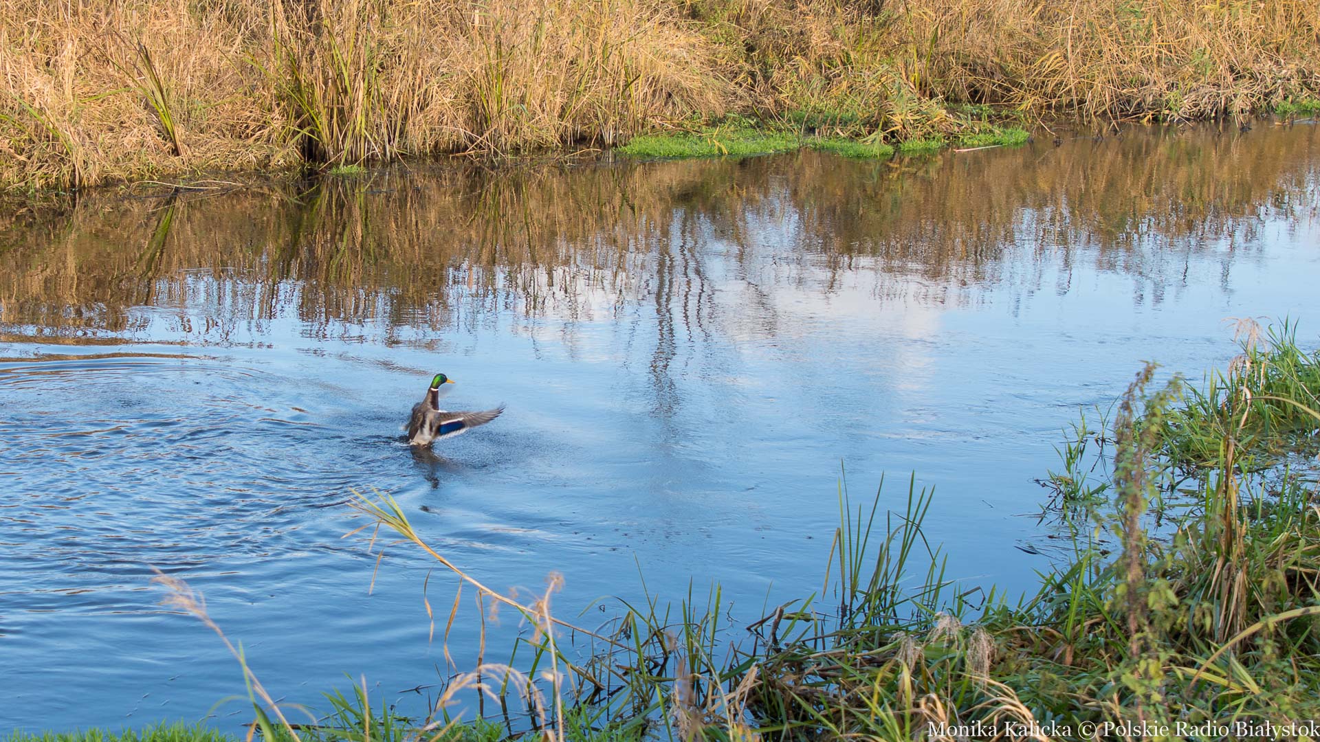 "Nie" dla tablic edukacyjnych i dla papieru z recyklingu powiedzieli suwalscy radni