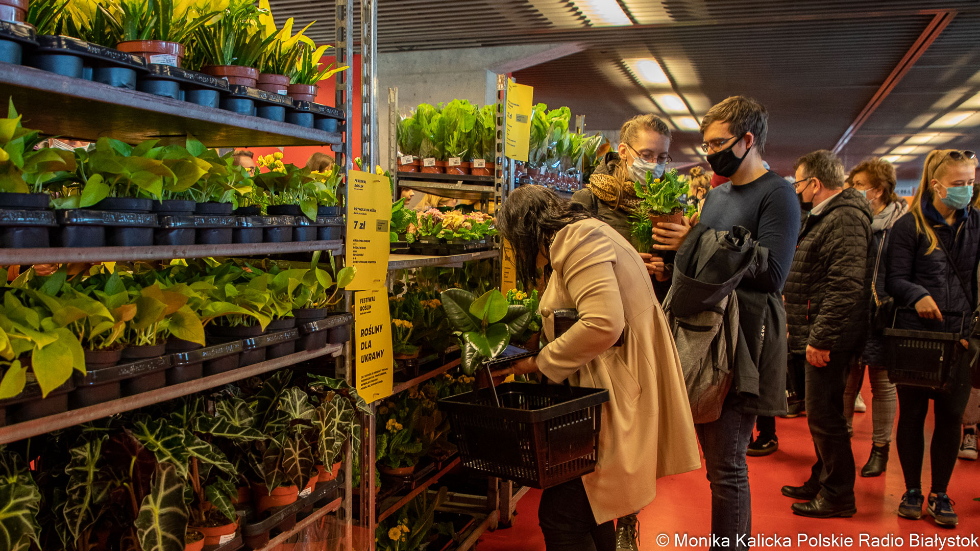 Festiwal Roślin w Białymstoku - tłumy na zakupach [zdjęcia]