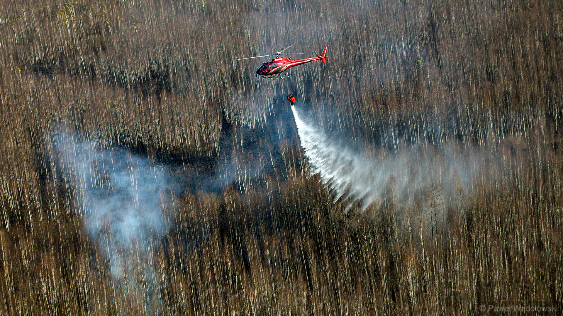 Umorzono śledztwo ws. pożaru w Biebrzańskim Parku Narodowym