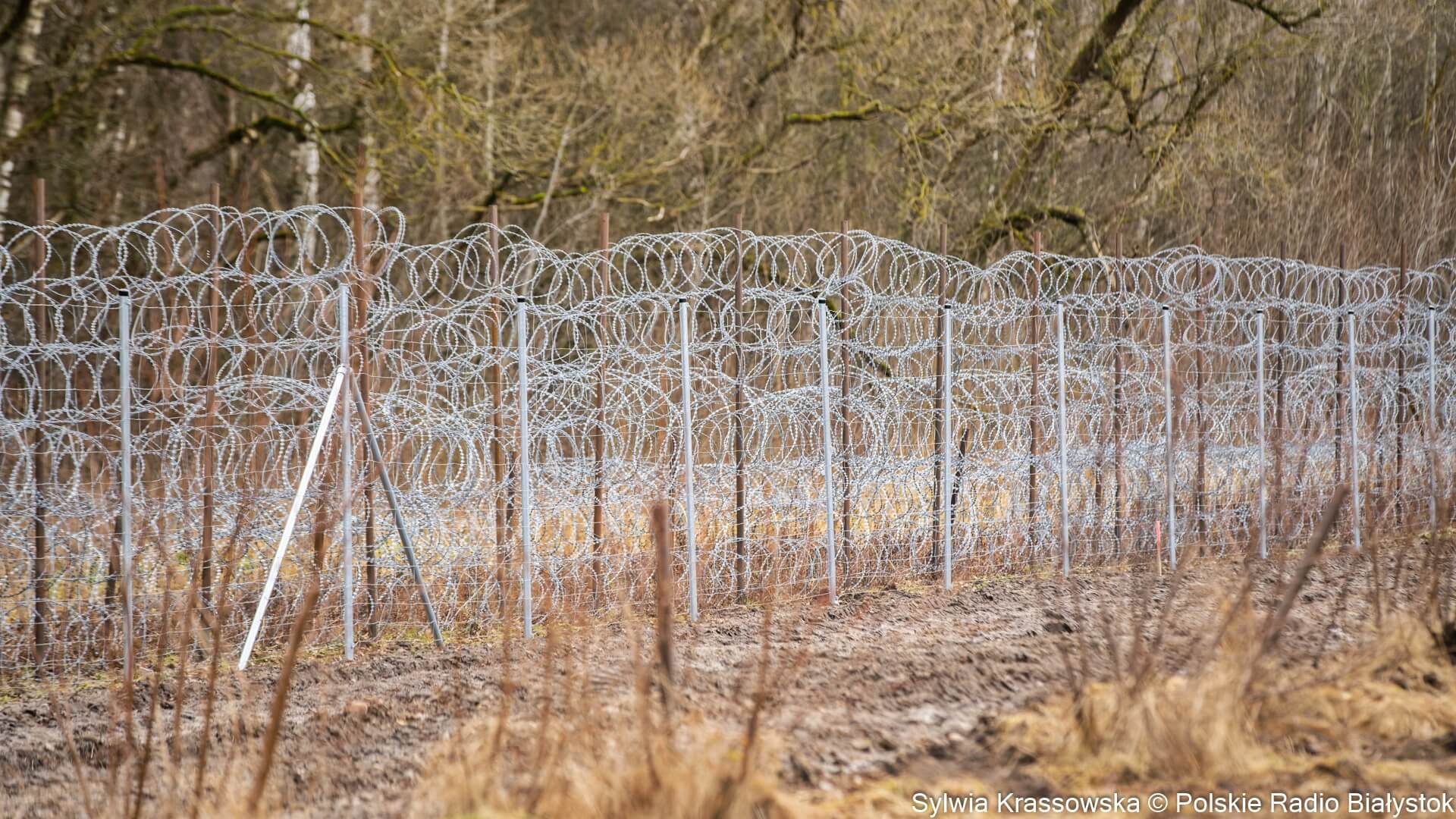 12 cudzoziemców próbowało w środę przedostać się z Białorusi do Polski