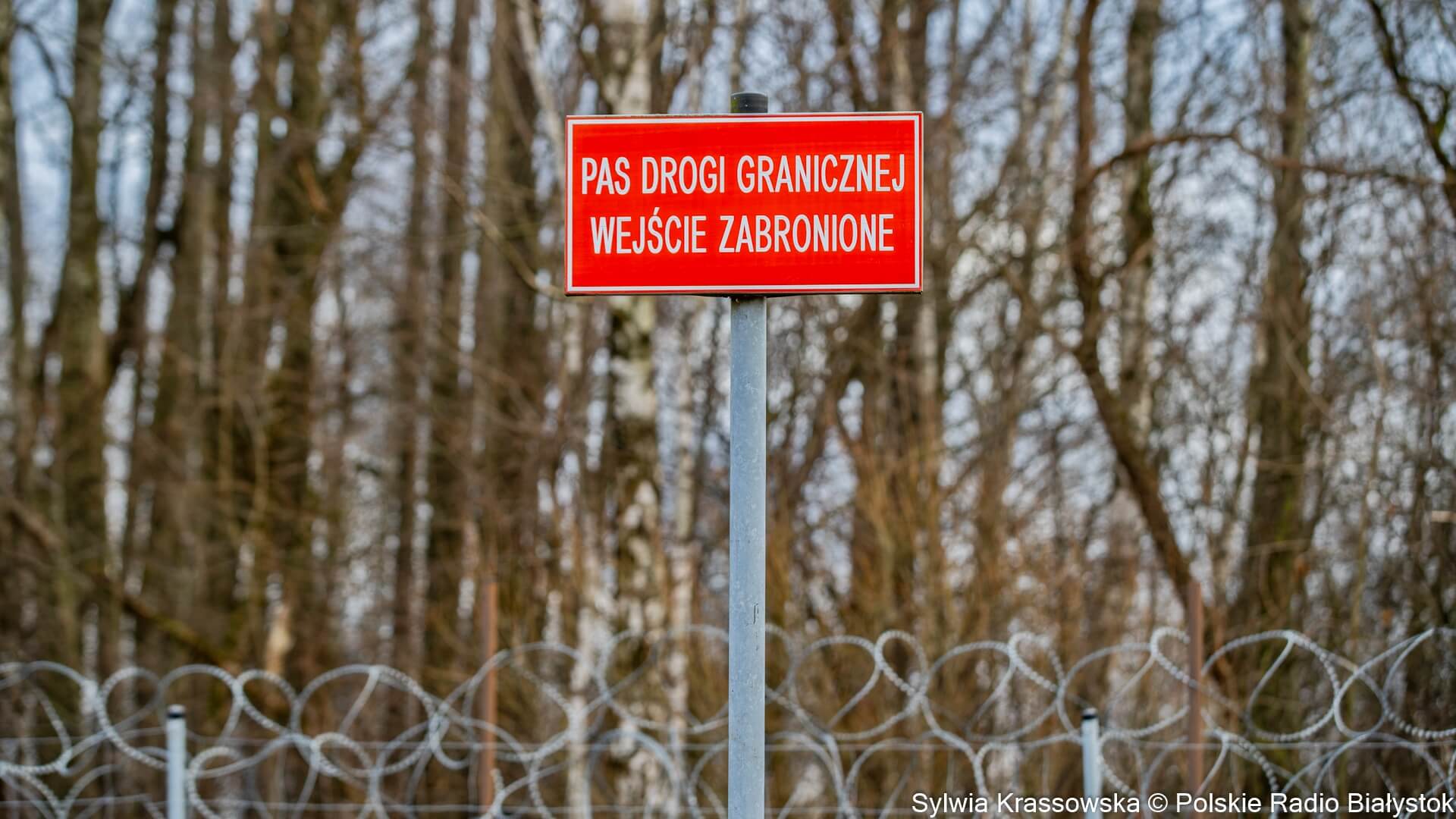 70 nielegalnych imigrantów próbowało dostać się do Polski z Białorusi