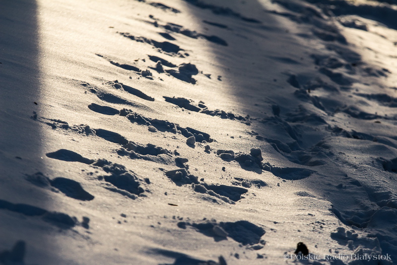 Policjanci pomagają wyziębionym osobom