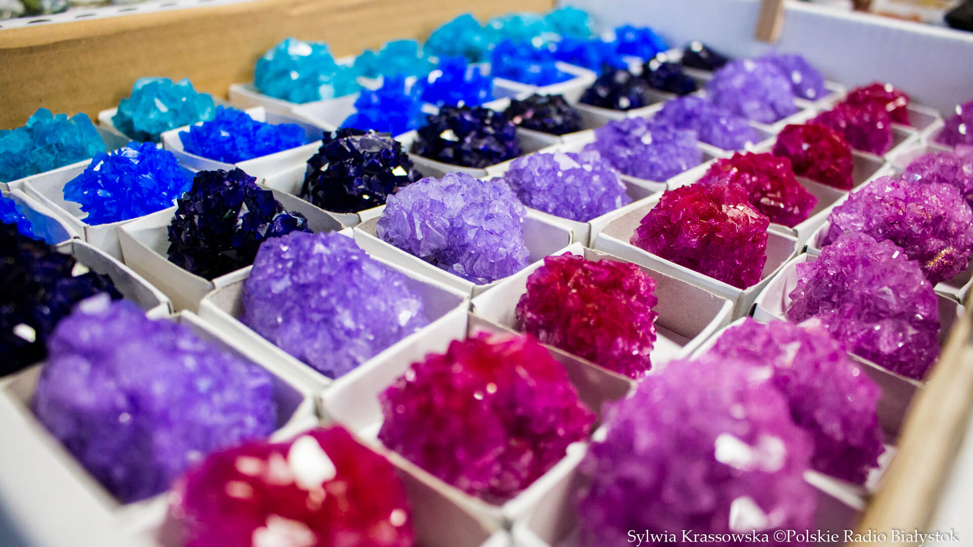 Minerały, skamieniałości i bursztyny na Targach "Skarby Ziemi" [zdjęcia]