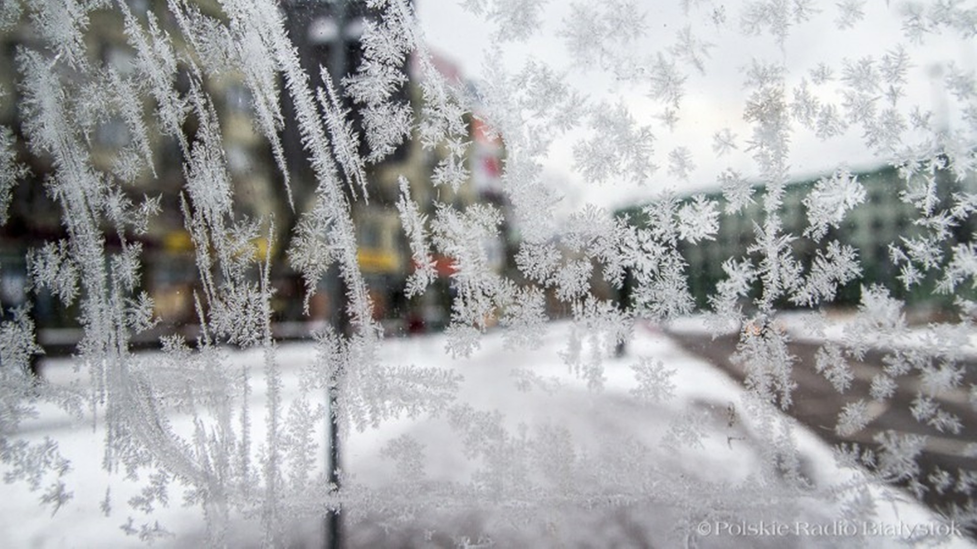 Miniona noc w Podlaskiem prawdopodobnie najzimniejszą w Polsce