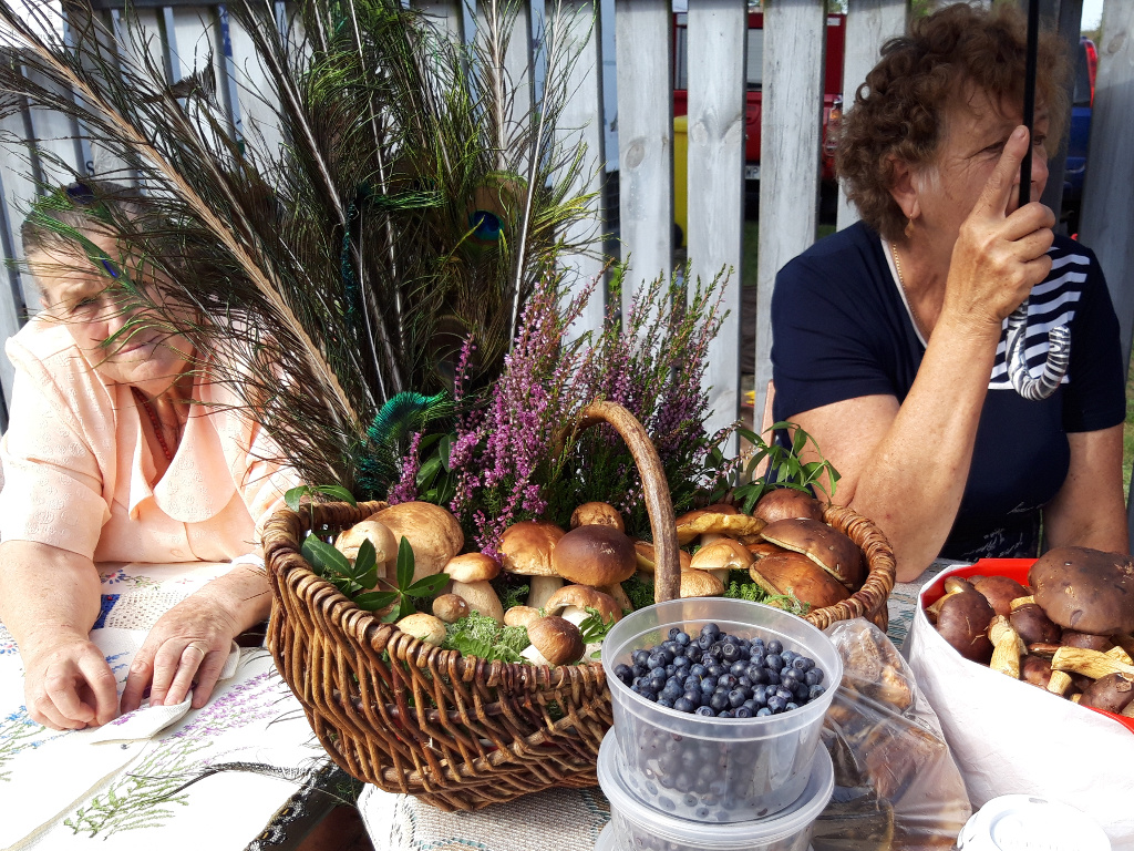 Konkursy, warsztaty, wystawy - Święto Grzyba w Sokolu [zdjęcia]