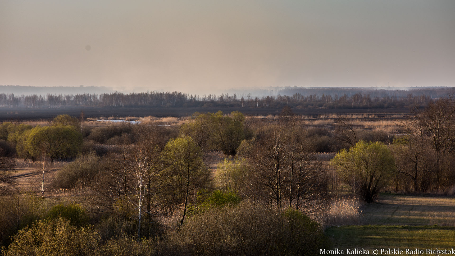 Otwarto część szlaków turystycznych w Biebrzańskim Parku Narodowym