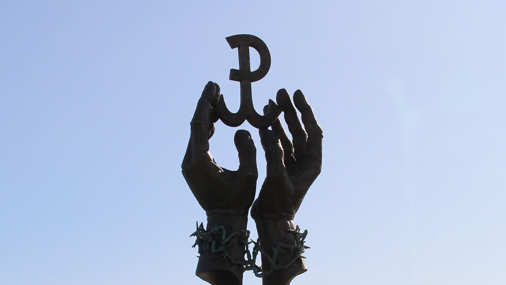 Co z kwiatami, którymi władze Augustowa planują udekorować rondo imienia Ofiar Obławy Augustowskiej?