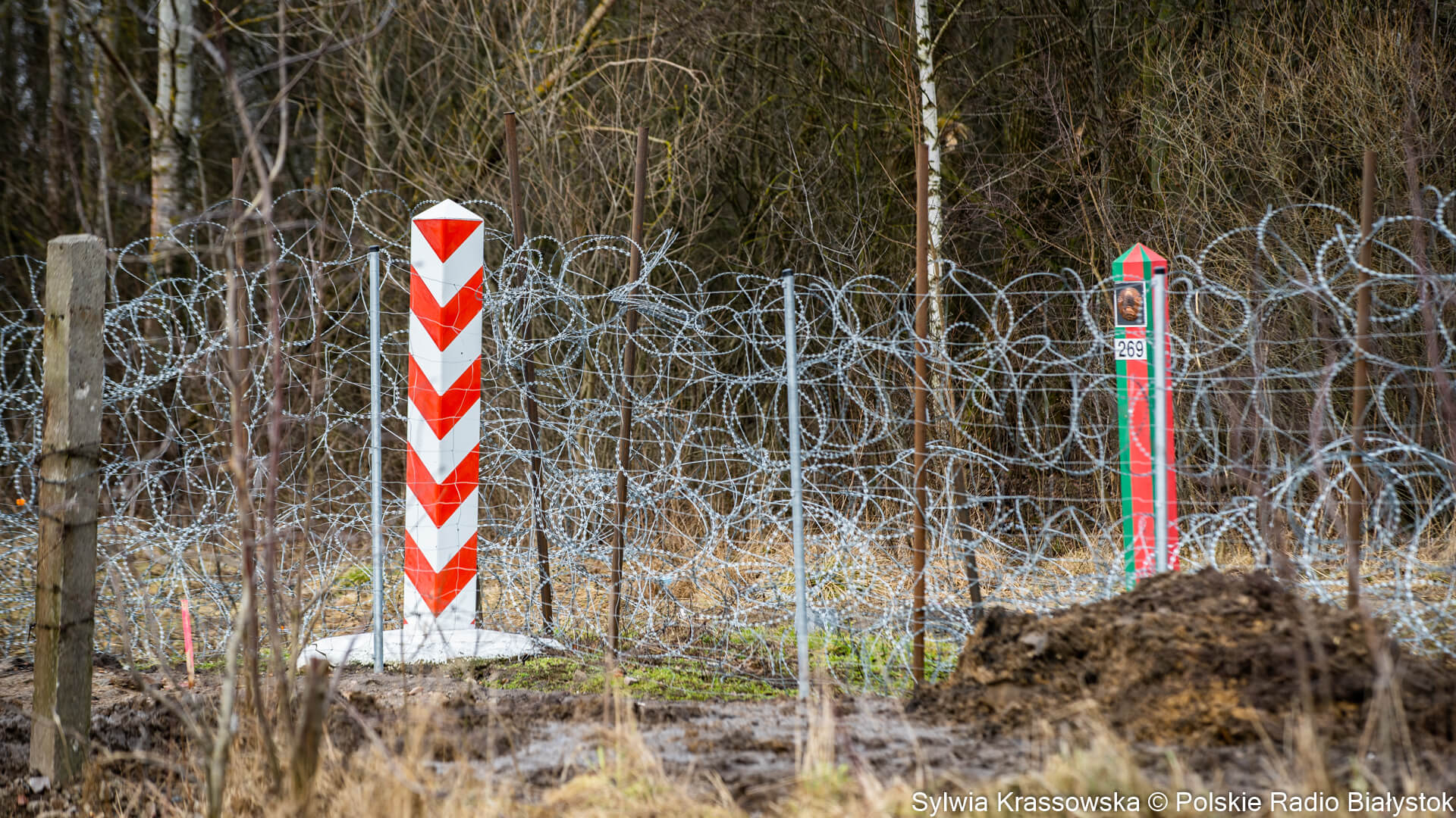 Minionej doby do Polski z Białorusi nielegalnie próbowało dostać się 78 osób