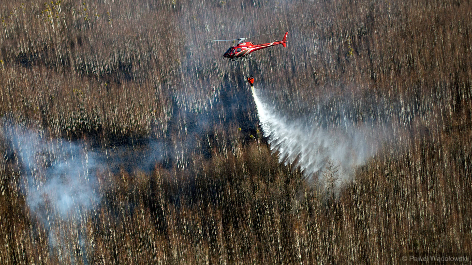 Michał Woś: będzie szeroka inwentaryzacja strat przyrodniczych po pożarze w Biebrzańskim PN