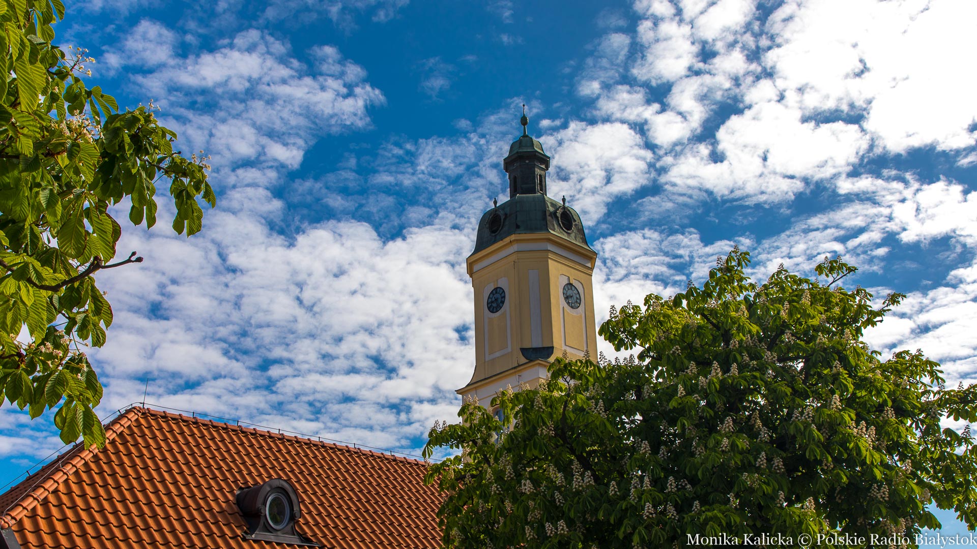 Białystok kwitnie [zdjęcia]