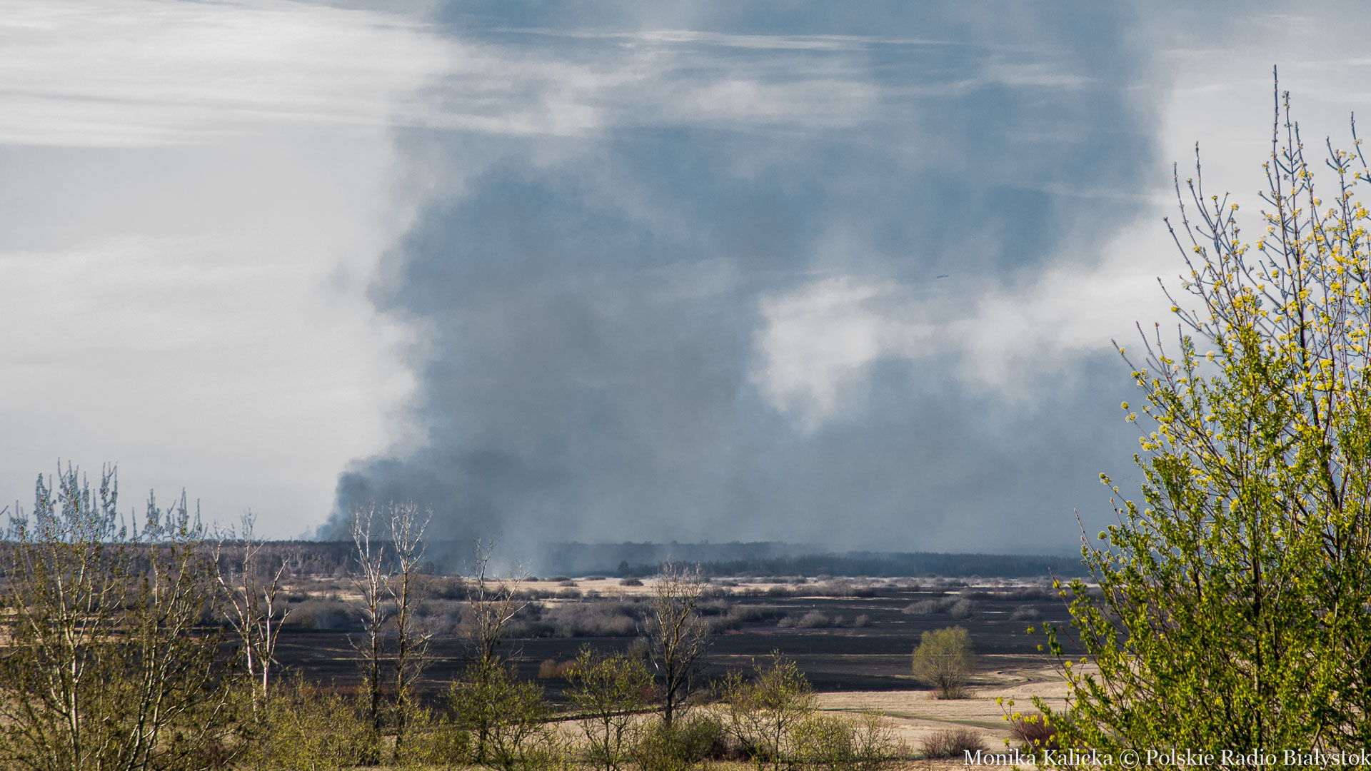 Wciąż trwa walka z pożarem w Biebrzańskim Parku Narodowym [wideo, zdjęcia]