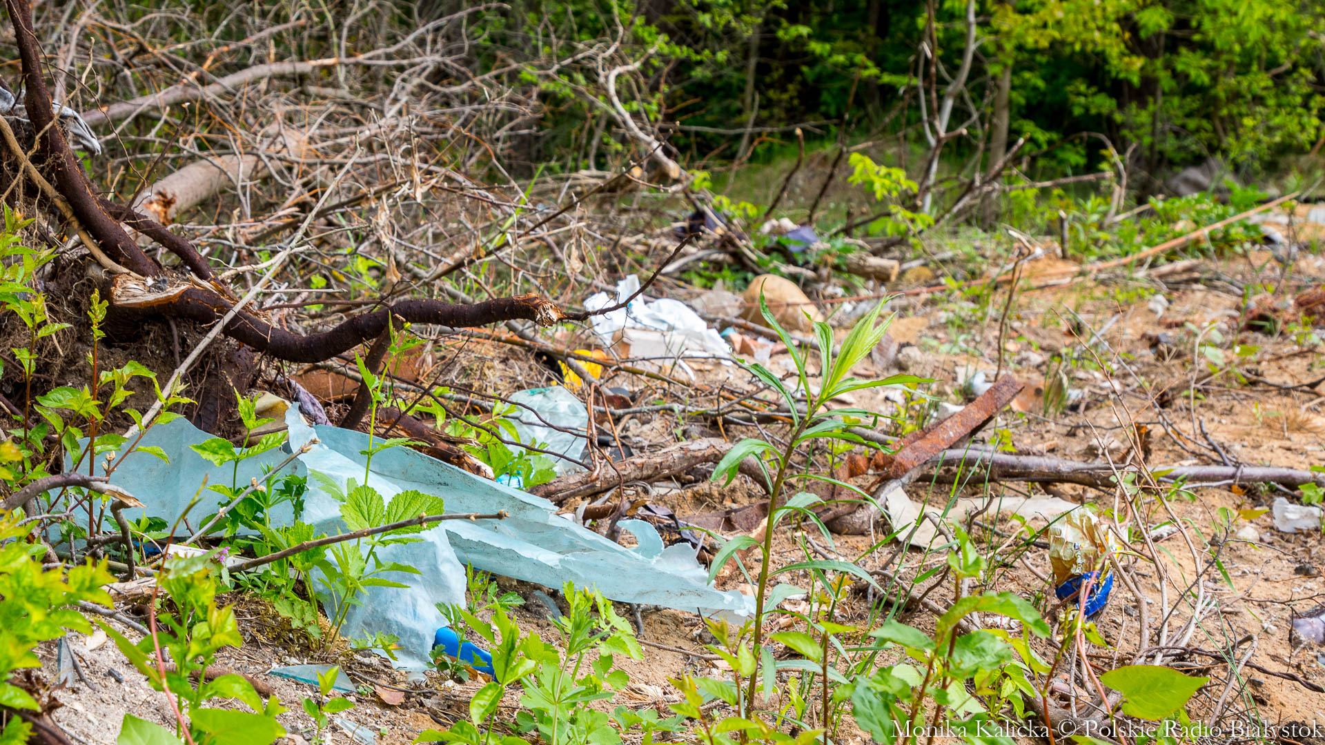 Wspólne sprzątanie lasu w Nowodworcach k. Białegostoku