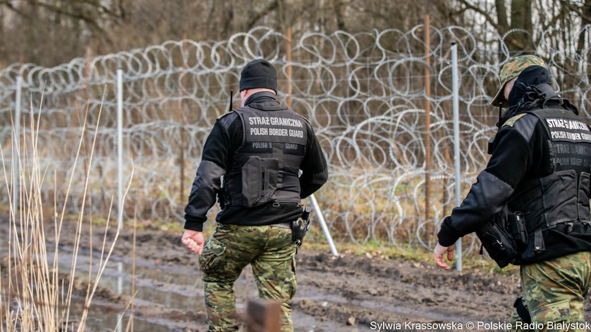 Blisko 90 osób próbowało nielegalnie przekroczyć polsko-białoruską granicę - najwięcej od początku roku