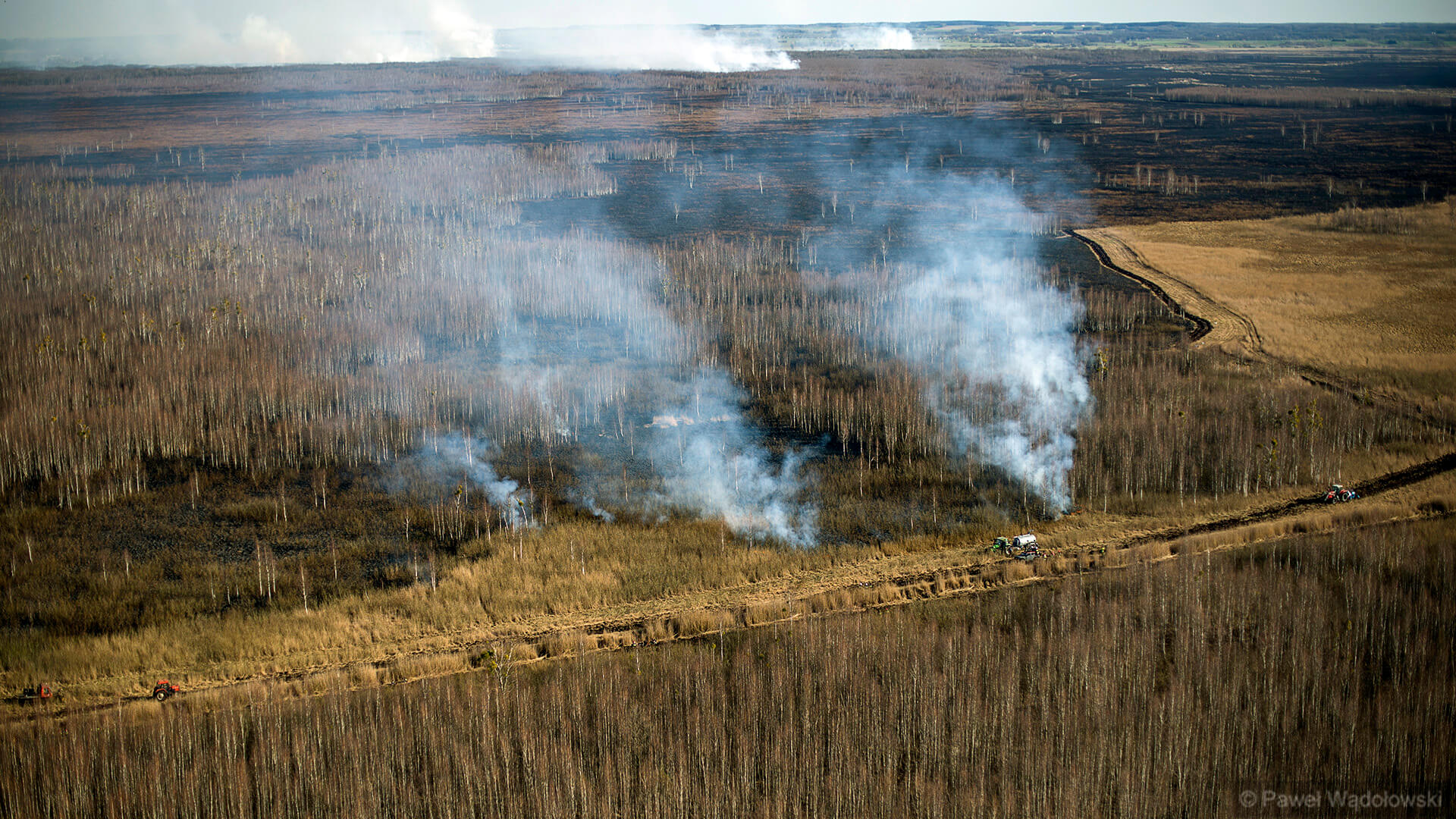 Niemal rok temu pożar strawił ponad pięć tysięcy hektarów Biebrzańskiego Parku Narodowego
