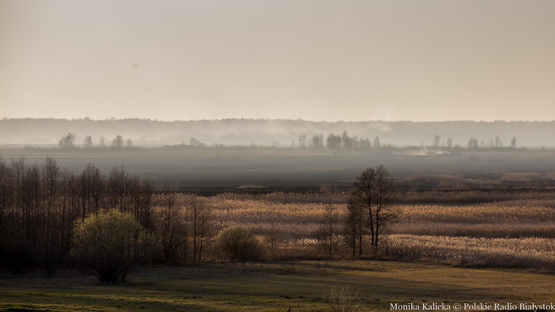 Jesteśmy na skraju katastrofy klimatycznej - alarmują ekolodzy
