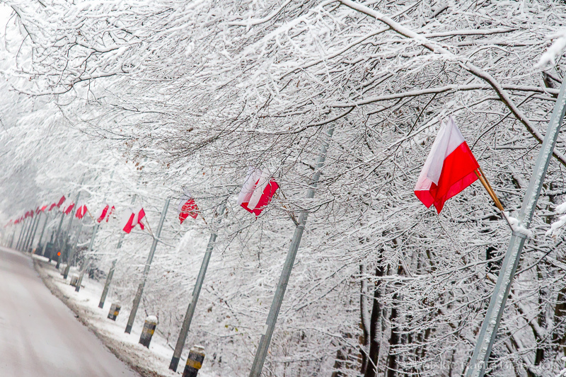 Wybierz z nami 100 najpiękniejszych polskich piosenek