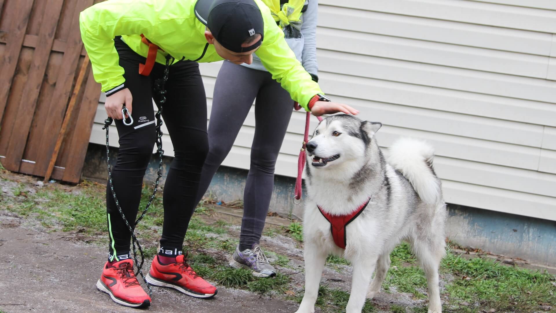 Biegi z psami - tak białostockie schronisko zachęca do adopcji zwierząt [zdjęcia]