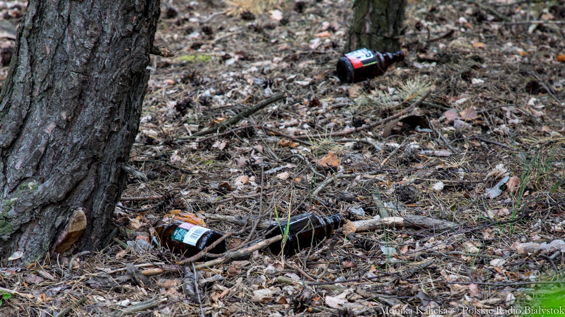 Augustów jest coraz bardziej zaśmiecony