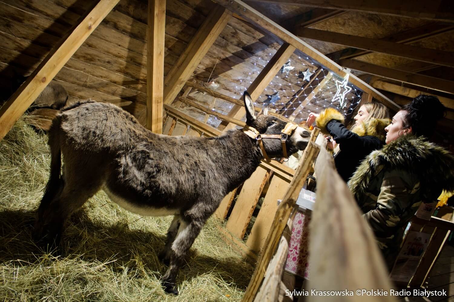 Żywa szopka w centrum Białegostoku