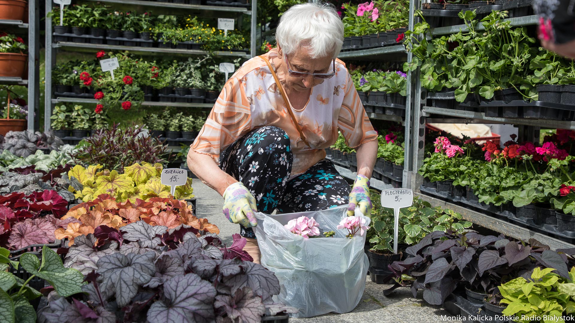 Zielono przed Teatrem Dramatycznym - dwudniowy jarmark "Kresowy Ogród"