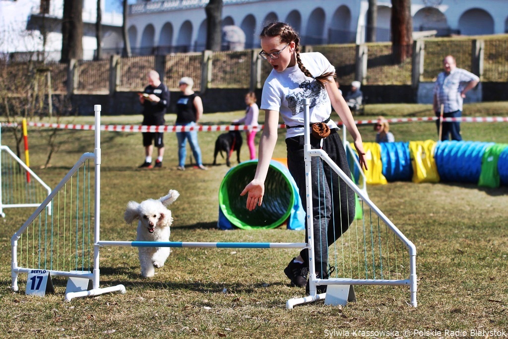 "Pieskie życie" - święto czworonogów i pomoc podlaskim schroniskom