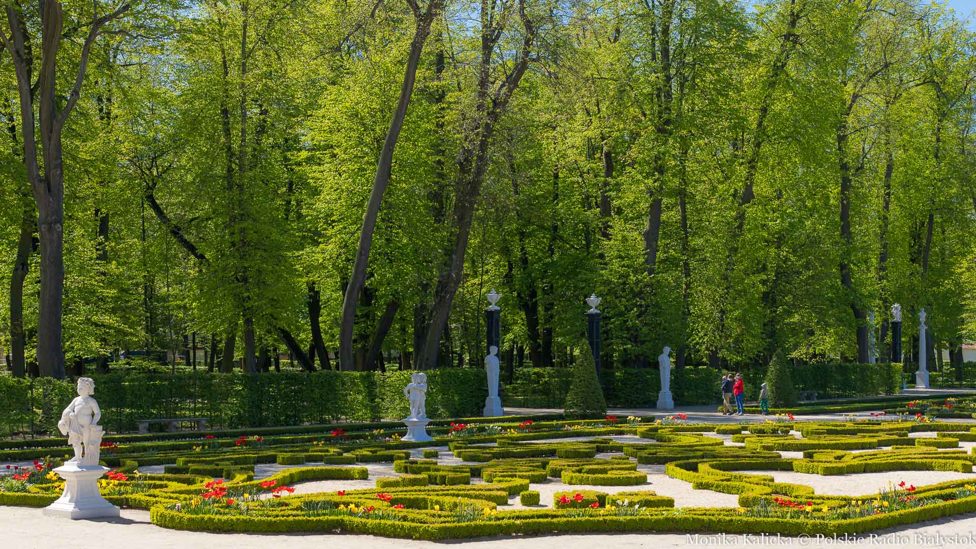 Wiosenny Park Branickich w Białymstoku [zdjęcia]