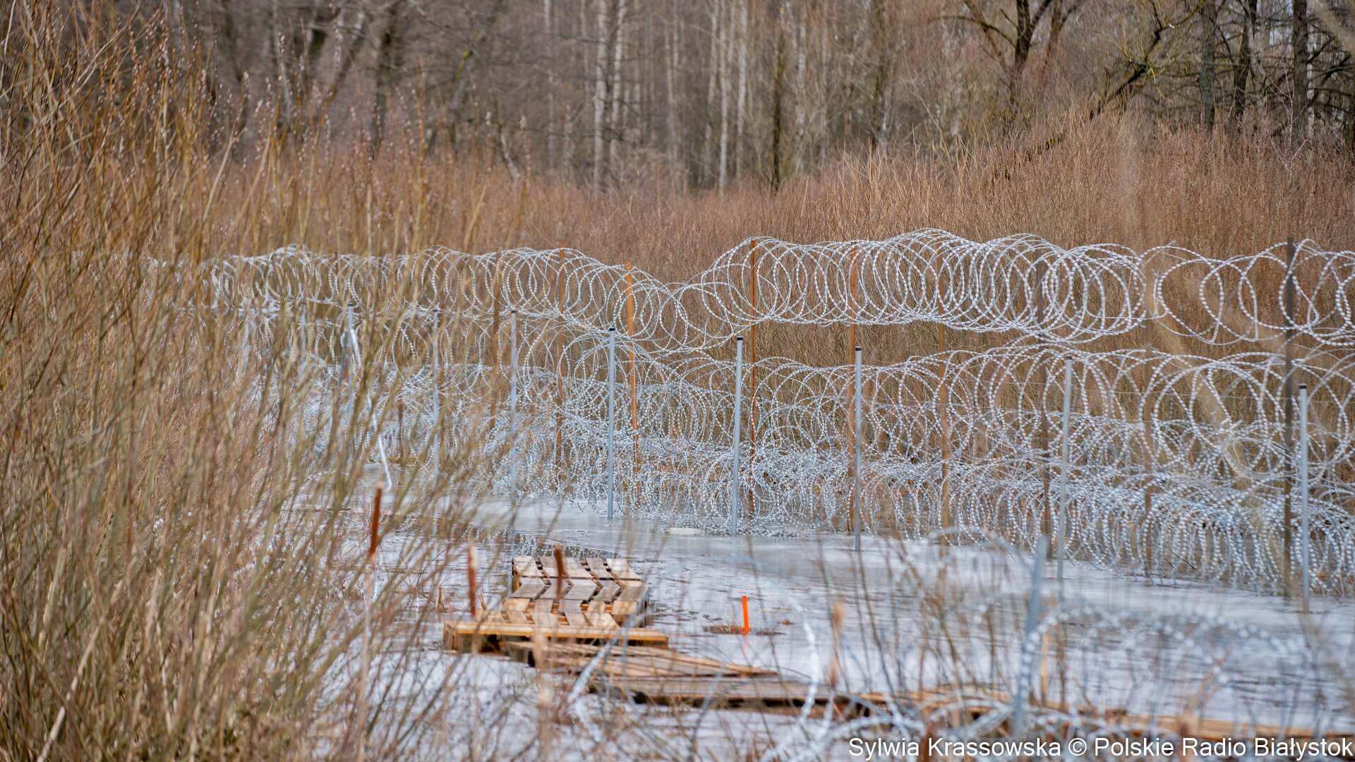 Do Polski z Białorusi nielegalnie próbowało dostać się 70 osób
