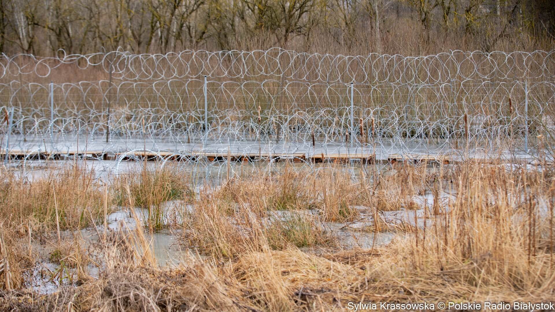 SG: 40 kolejnych prób nielegalnego przekroczenia granicy polsko-białoruskiej