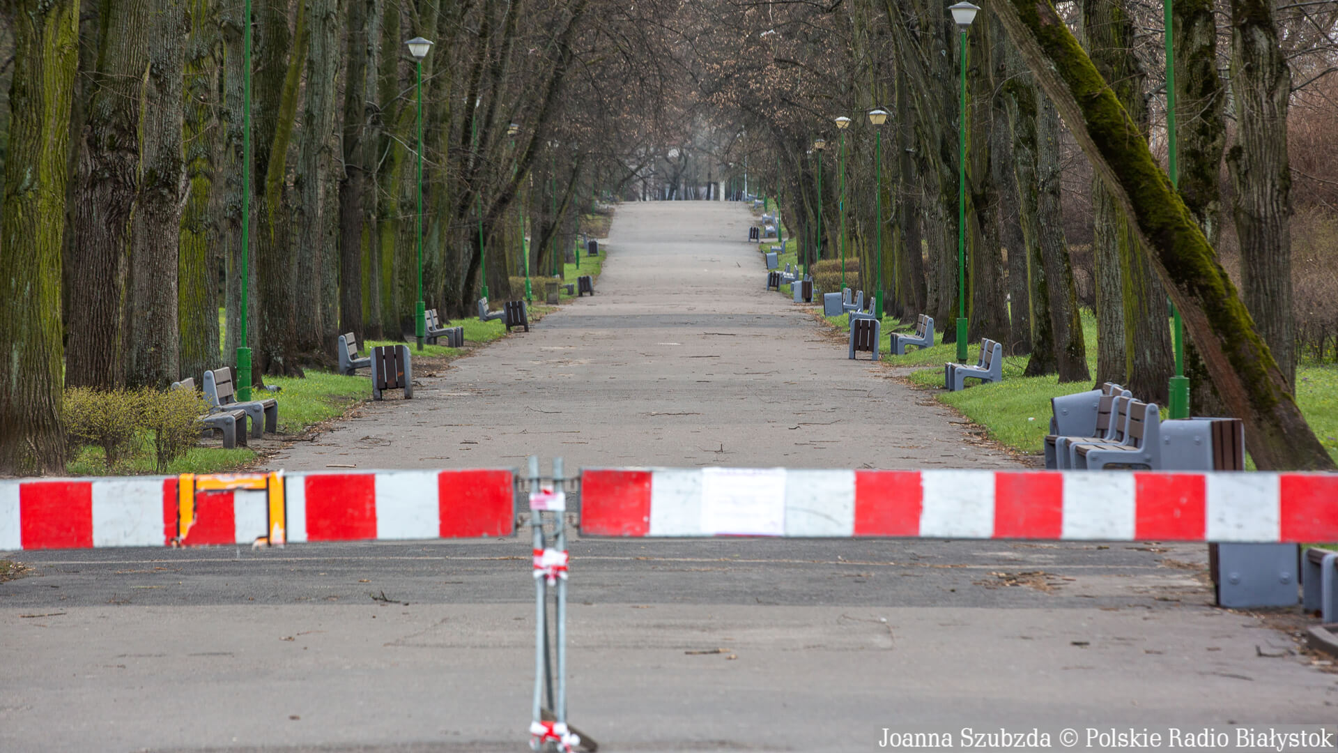 Zakupy w rękawiczkach, zakaz wstępu do lasu - kolejne ograniczenia - pytania i odpowiedzi