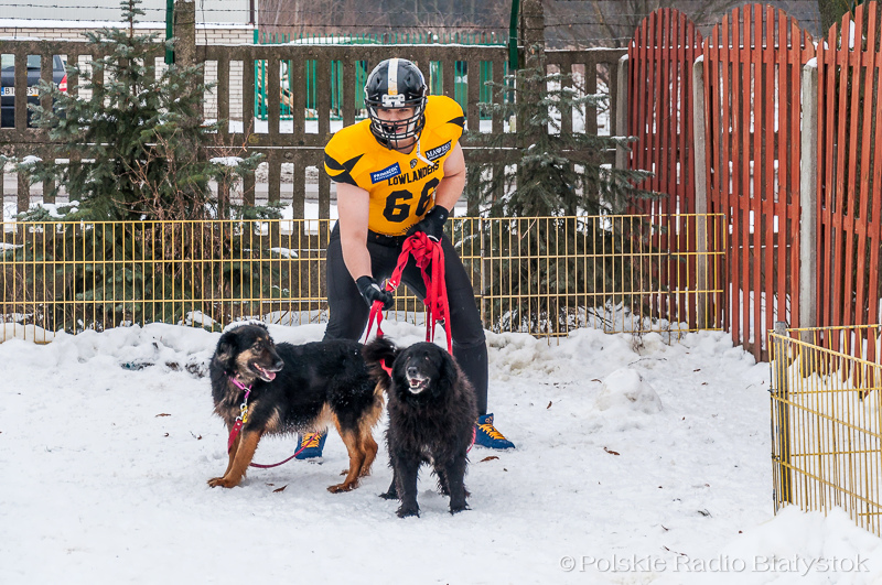 Zawodnicy Lowlanders Białystok zachęcają do adopcji psów [zdjęcia]