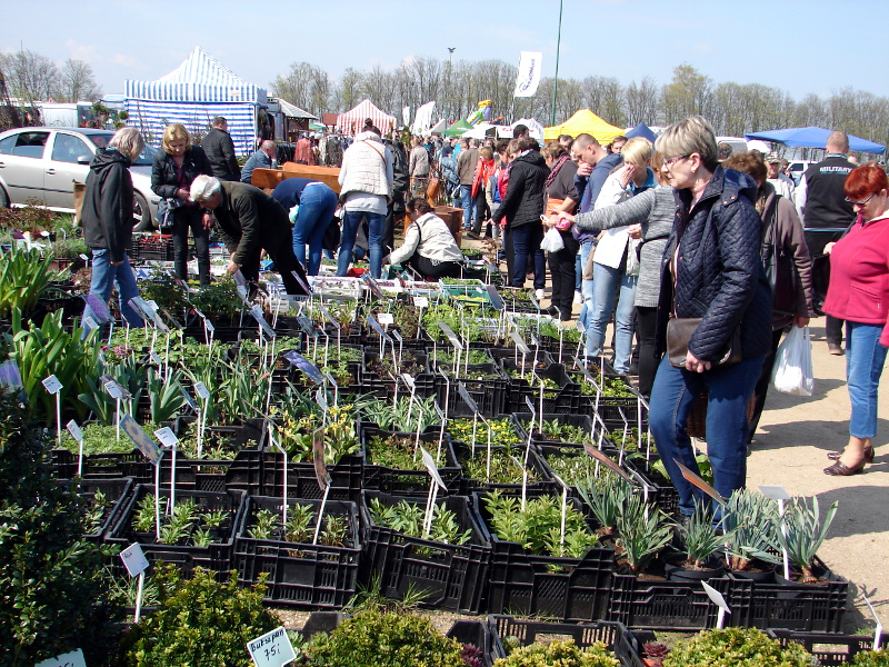 Region:  Wiosenne Targi Ogrodnicze w Szepietowie