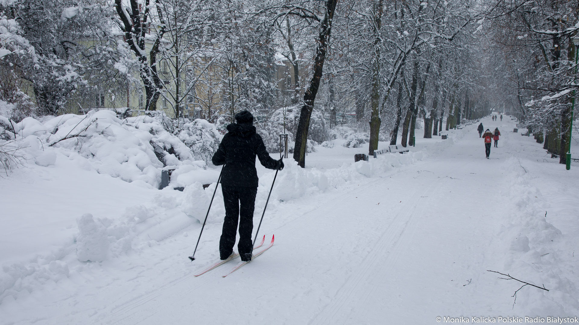 W Augustowie można korzystać z kilku przygotowanych tras narciarskich