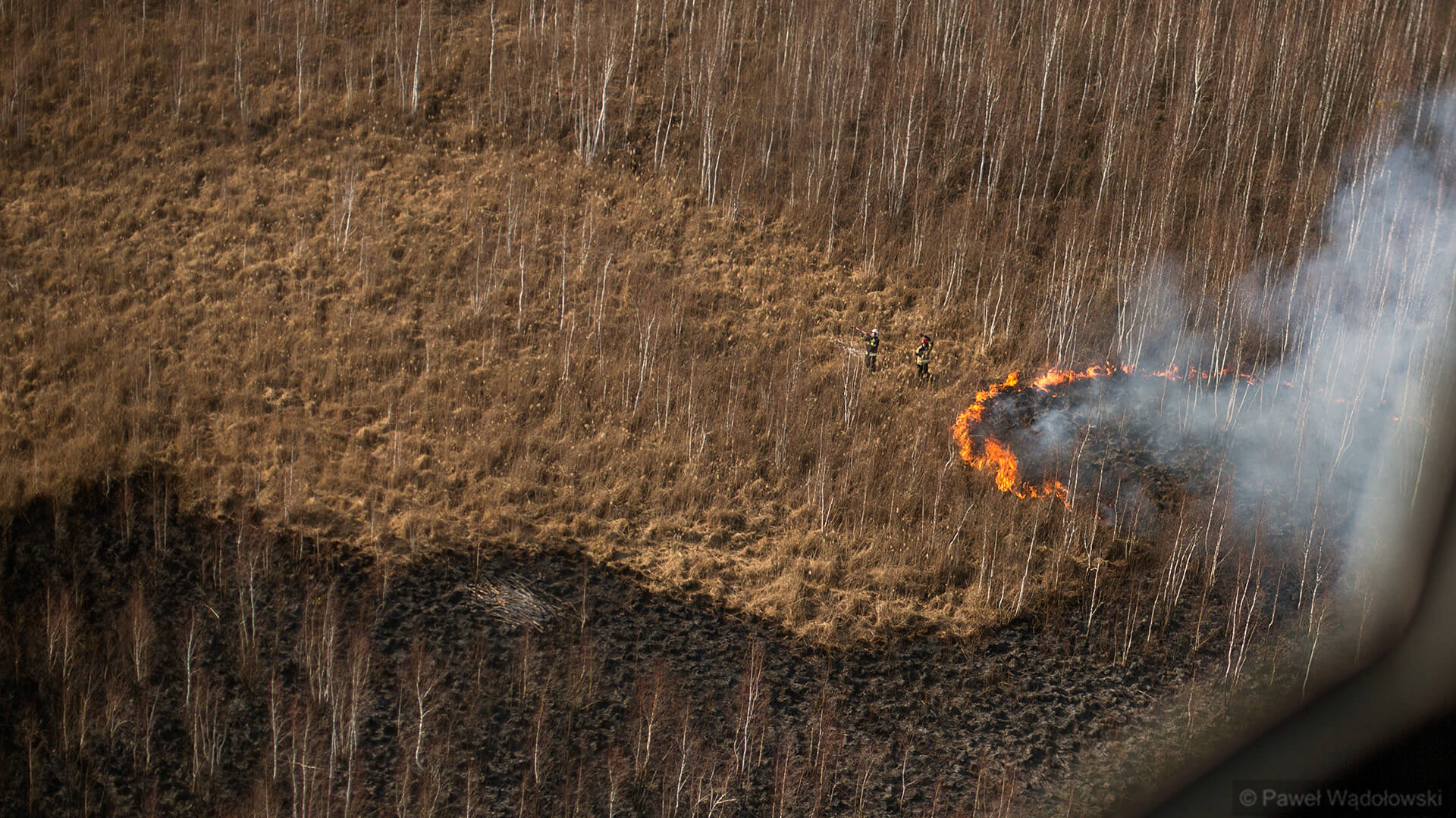 Biebrzański PN nie będzie skarżył decyzji o umorzeniu śledztwa ws. pożaru z 2020 roku