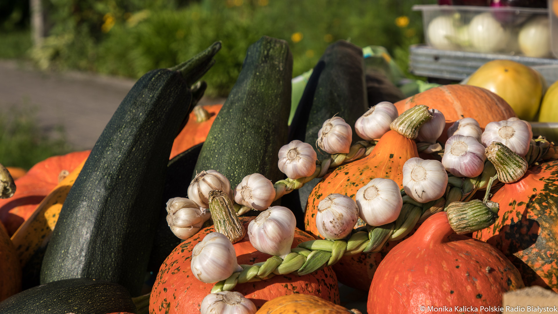1 października to Światowy Dzień Wegetarianizmu