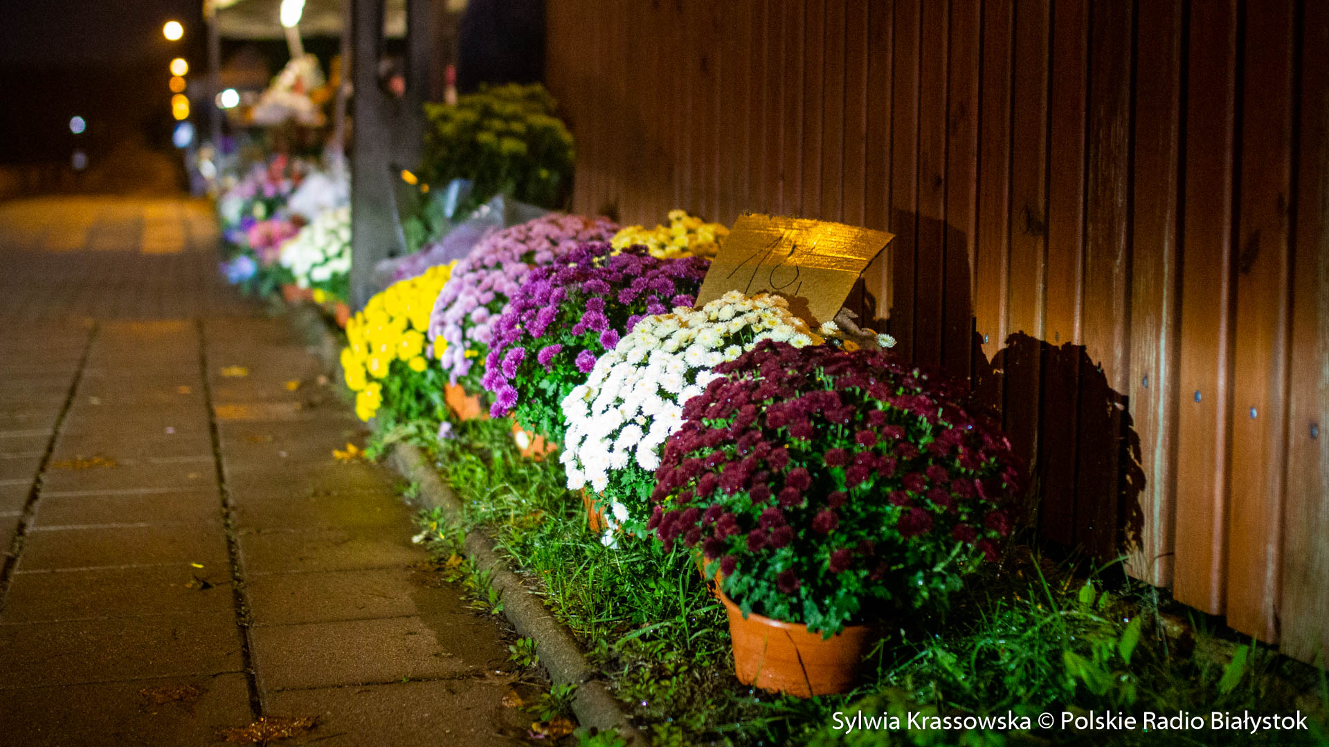 Skup kwiatów chryzantem, ustawa covidowa, praca w pandemii